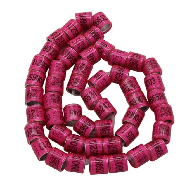 100 Pcs Anneaux d'Identification Dove en Aluminium Étiquette Ronde en Plastique Bandes pour Pattes d'Animaux