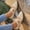 Beige#25, variant on HAJWOH Mary Jane Shoes for Women 2026 Slip on Dressy Ballet Flats Shoes for Women Non-Slip Comfort Shoes for Work Office Casual Coffee 36