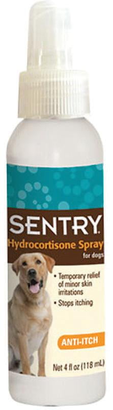 anti itch cream for dogs walmart