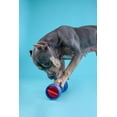 thumbnail image 2 of Bow Wow Buddy Starter Kit (XXL) - Bully Stick Holder, 2 of 7