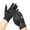 Black, variant on Men's Winter Touchscreen Windproof Warm Waterproof Driving Gloves with Fleece