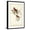 Black Frame, variant on Art.com Common Cardinal Grosbeak Art Print by John James Audubon, 12" x 18"