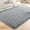 Gray, variant on Cshidworld Area Rugs for Living Room Bedroom, 4x6 Ultra Soft Comfy Fluffy Thickened Memory-Foam Indoor Carpets, Modern Minimalist Carpet for Teen Adults Apartment Bedroom Home Decor, Black