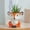 A, variant on Kiplyki Animal Pot Ceramic Succulent Plant Pot Cactus Potted Planting Bonsai Pots Set