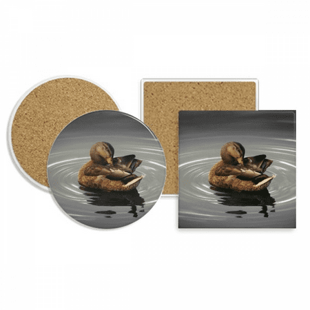 

Swan Organism Animal Photography Coaster Cup Mug Holder Absorbent Stone Cork Base Set