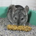 thumbnail image 3 of Vitakraft Chinchilla Crunch Sticks with Added Calcium Treat Sticks 2pk 3.5 oz., 3 of 6