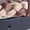 BLACK/BROWN, variant on Girl Glitter and Braided Belts, 2-Pack, Sizes XS-XXL