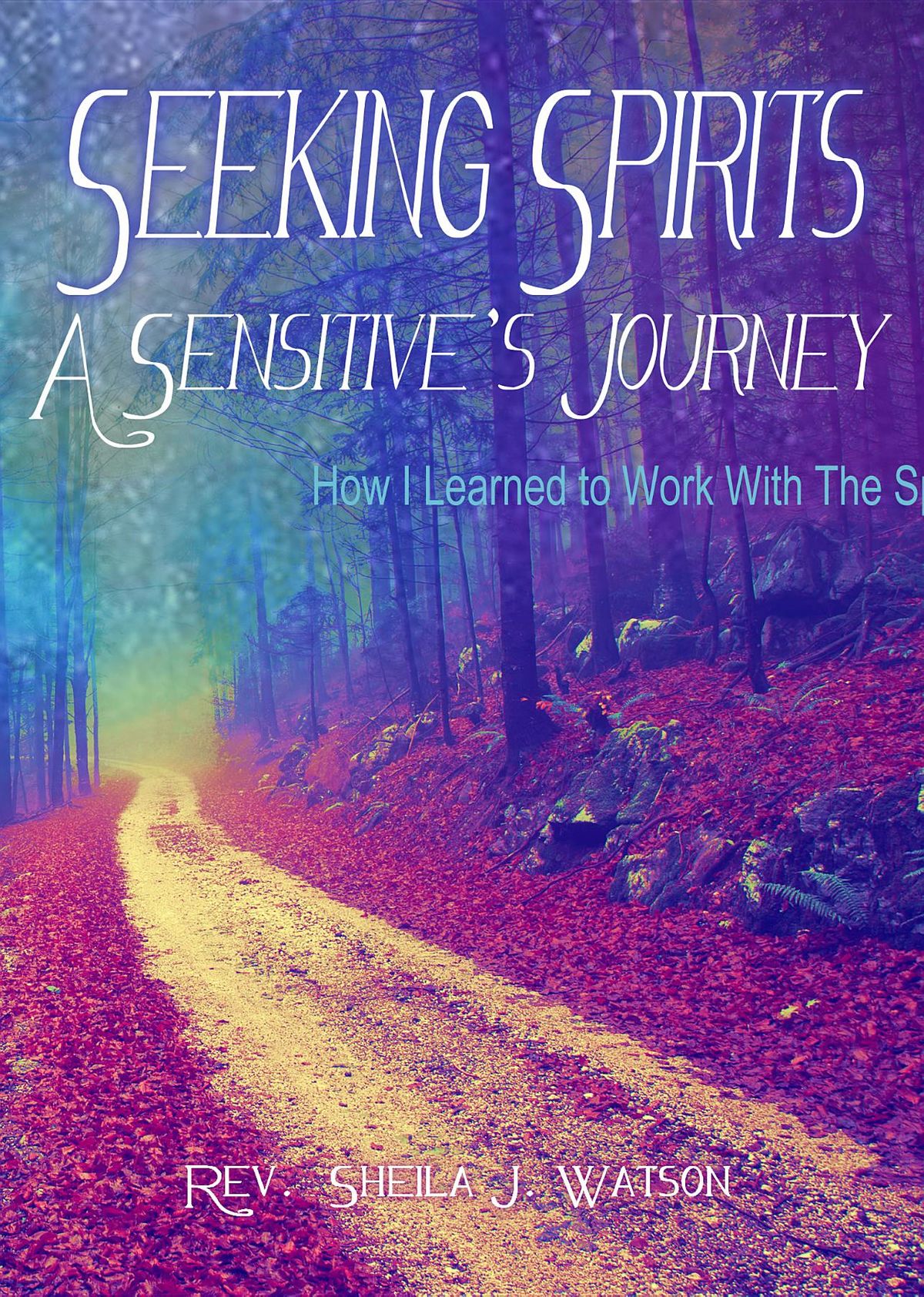 Seeking Spirits by Jason Hawes Seeking Spirits by Jason Hawes