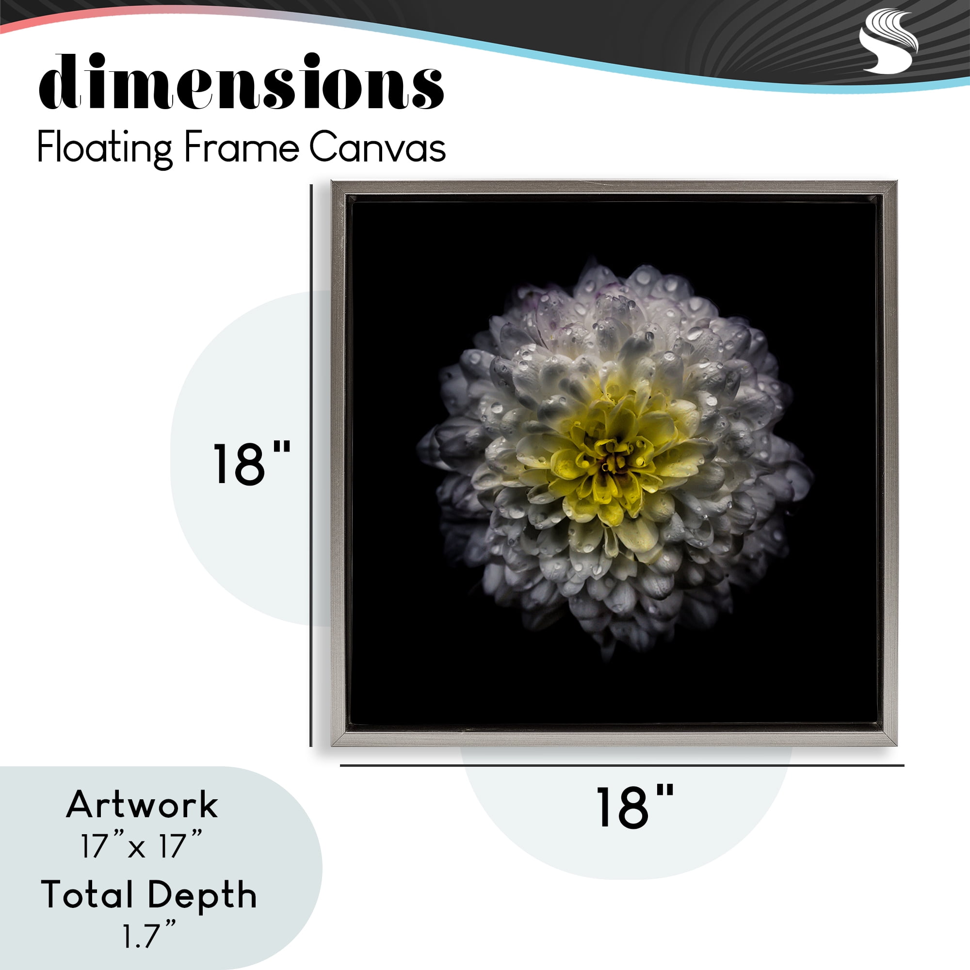 White And Yellow Mum Gray Framed Floater Canvas Wall Art, design by Brian Carson Photography