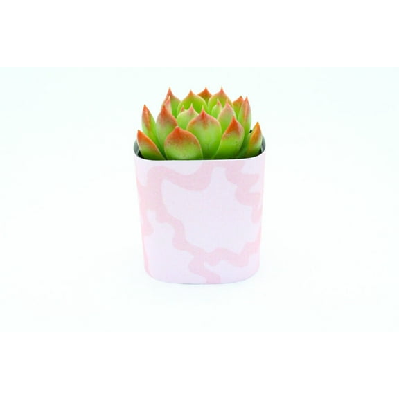 Plants Of Joy Pink Swirls Print Succulent Wraps for Weddings, Baby Shower, and Party Favors. 25 Count Pack.