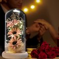 thumbnail image 5 of Girasol artificial con cúpula de cristal con tira de Led, un regalo navideño para familiares y amigos femeninos, 5 of 5