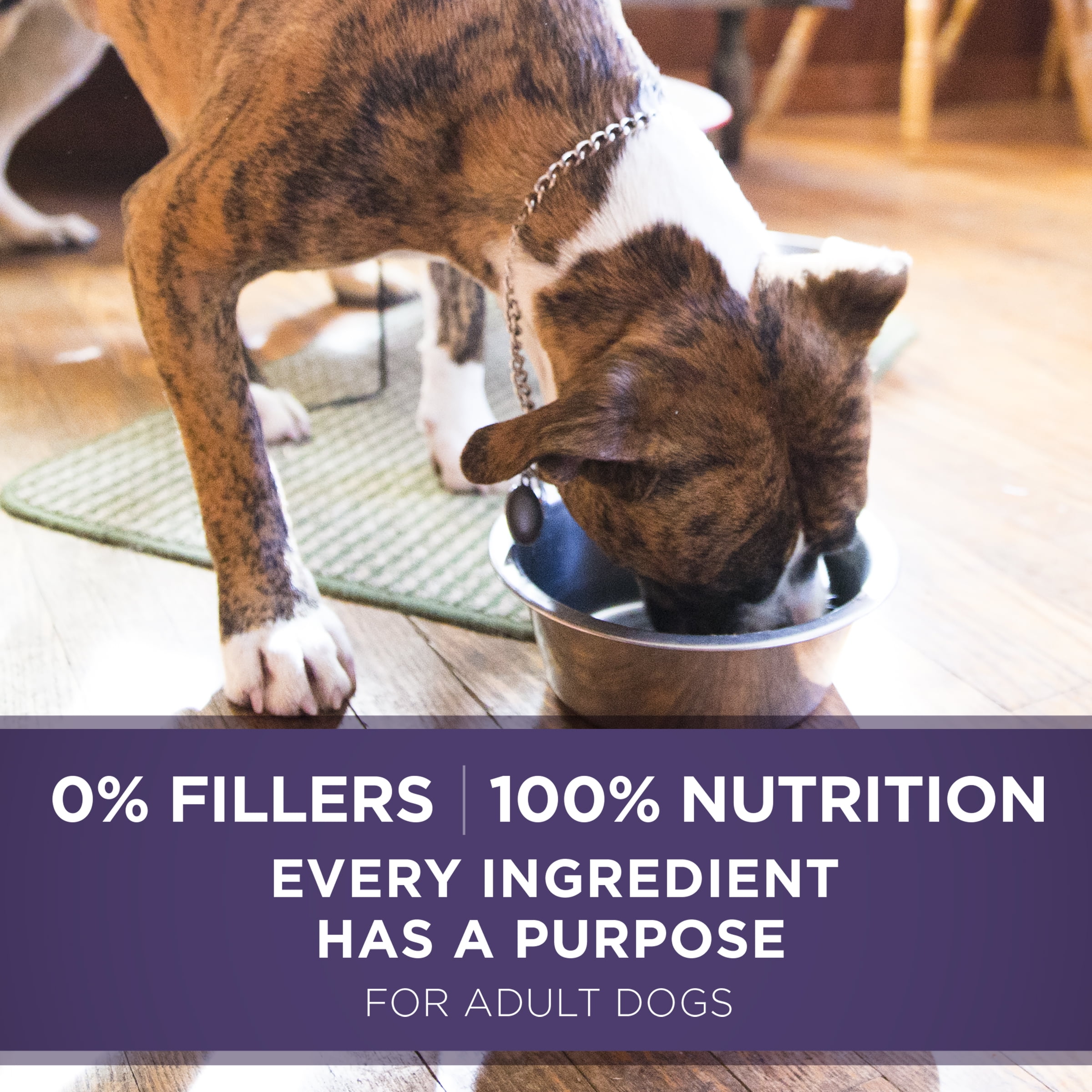 purina one dog food senior formula