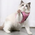 thumbnail image 2 of Harnais pour Chat Harnais Gilet Réglables Animaux de Compagnie Preuve de Fuite Doux Maille Sangle Thoracique pour Chaton Chats Chiot Marche, 2 of 3