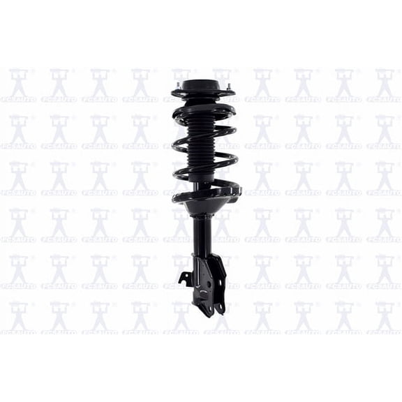 Suspension Strut and Coil Spring Assembly