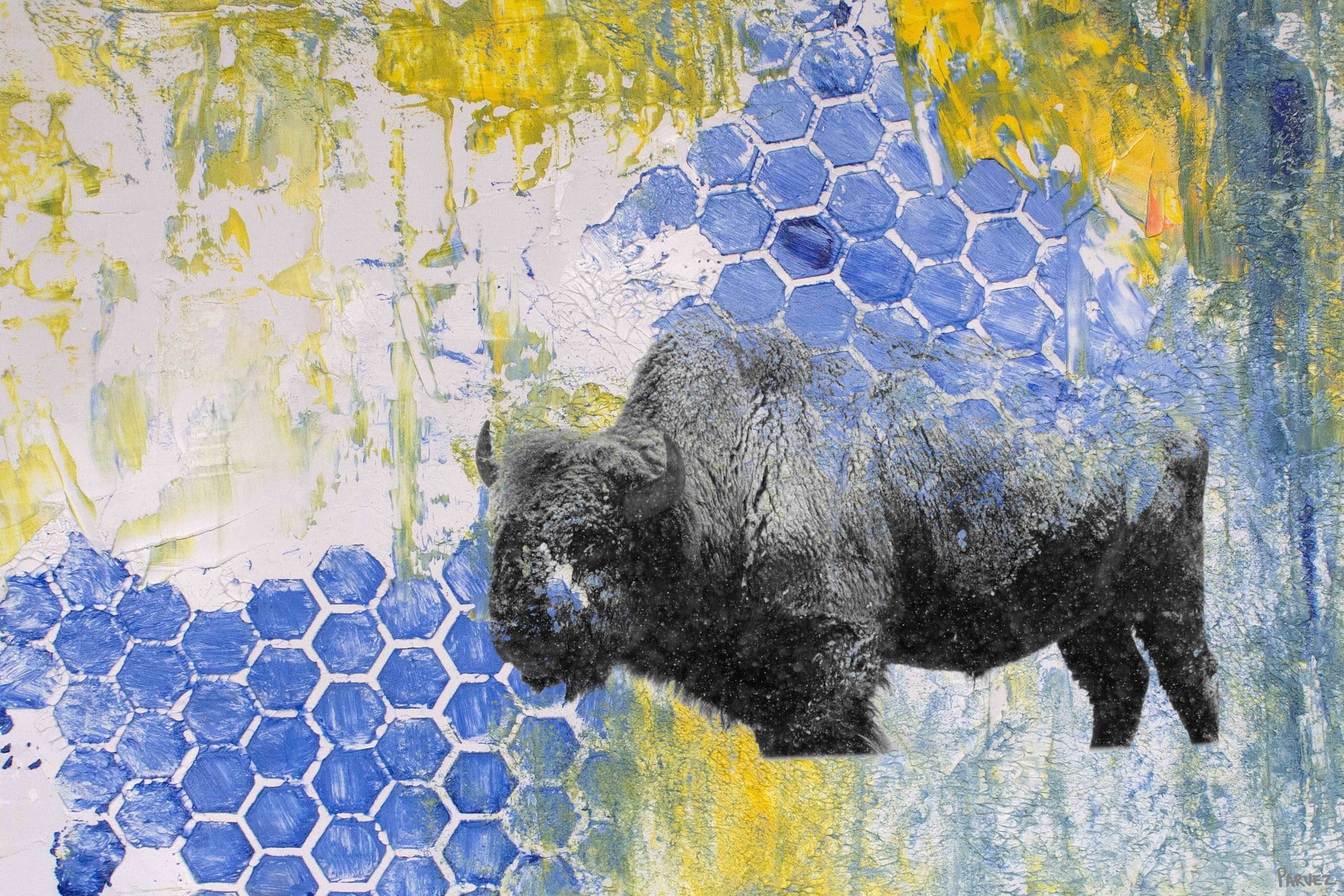 "Buffalo Honeycomb" Painting Print on Wrapped Canvas