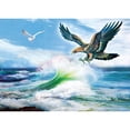 thumbnail image 1 of Taladro diamante pintura (DF3386) 5D DIY pájaro volador completo punto de cruz bordado Kits 45x60cm FLhrweasw Nuevo, 1 of 1