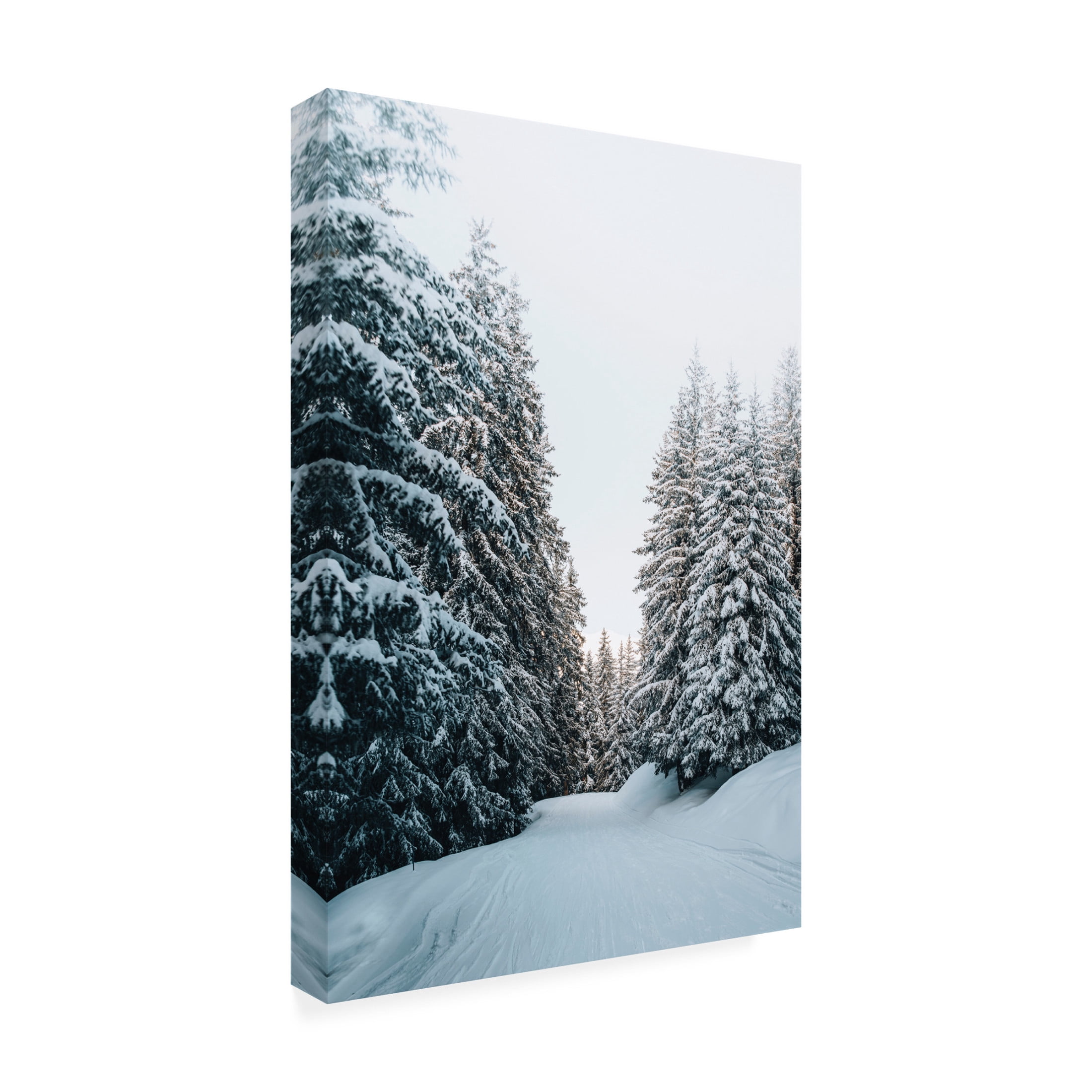 Canvas Wall Art - Incado 'Trail in Snow' Wall Art for Living Room, Bedroom, or Office Décor by Trademark Fine Art - 16 x 24 Inches