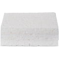 thumbnail image 1 of Full Circle Plain Jane Plant Sponges 3Pk, 1 of 6