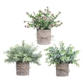 thumbnail image 4 of 3 Piezas de Plantas Falsas Strade Fareast Limited en Maceta Decorativas de Imitación 8 cm x 8 cm, 4 of 8