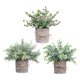 thumbnail image 4 of 3 Piezas de Plantas Falsas Strade Fareast Limited en Maceta Decorativas de Imitación 8 cm x 8 cm, 4 of 8