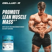 Cellucor Cor-Performance Creatine Powder, Blue Raspberry Flavor, 50 Servings