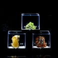thumbnail image 2 of figatia 6.5x6.5x7cm Transparent Dustproof Display Case with Balck Base For Rock & Mineral Collection, 2 of 9