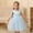 Sky Blue, variant on Dresses for Girls Floral Birthday Dresses for Girls Kids Tea Party Dresses for Girls 4T