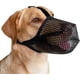 thumbnail image 1 of Bozal para perros con correas ajustables, bozal suave cubierto de malla para perros pequeños y medianos, talla S, negro., 1 of 5