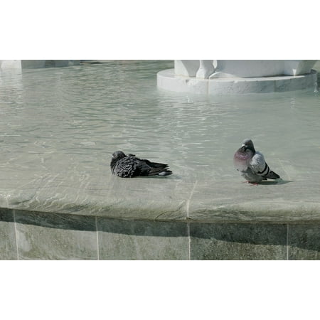 Framed Art For Your Wall Flow Fountain Wet Well Water Water Water Feature 10x13 Frame