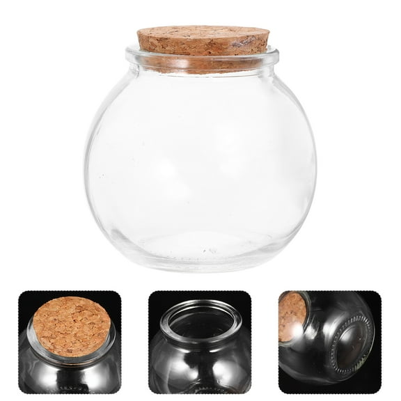 FOMIYES Set of 2 Mini Glass Wishing Bottles with Cork for Storage and DIY Crafts Transparent Glass