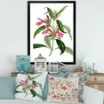 thumbnail image 3 of Designart 'Ancient American Flora VII' Traditional Framed Art Print, 3 of 4