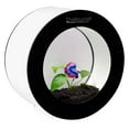 thumbnail image 1 of LiveAquaria® Betta Aquarium Kit Orbi Black, 1 of 1