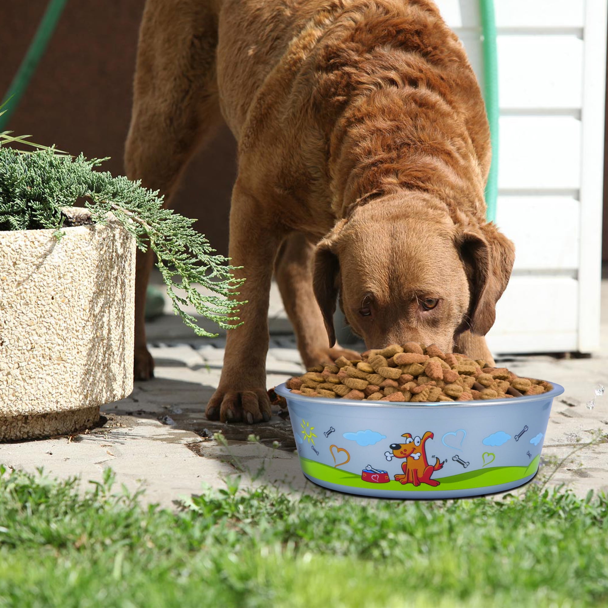 Pefilos 8.46"x2.76" Medium Lightweight Stainless Steel Dog Bowl, 54.1 OZ Food And Water Dish Pet Food Bowls, Blue Pefilos 8.46"x2.76" Medium Lightweight Stainless Steel Dog Bowl, 54.1 OZ Food And Water Dish Pet Food Bowls, Blue