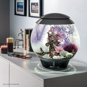 biOrb Pink Ocean Aquarium Décor Set