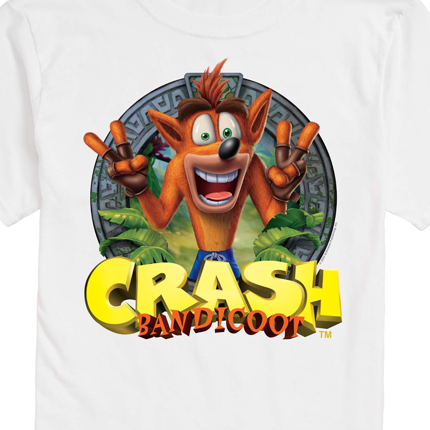Hollister crash hotsell bandicoot shirt