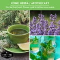thumbnail image 6 of 9 Medicinal Herb Seeds - Chamomile Lavender Echinacea Catnip Lemon Balm Marigold Sage Mint Yarrow, 6 of 9