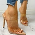 thumbnail image 5 of IUJSOY Stiletto for Women Pointed Toe High Heels with Clear Band Party Dressy Pumps Sandals, 5 of 8