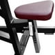 thumbnail image 4 of Máquina Remo Sentado Inclinado Profesional Gym Ajustable Centurfit, 4 of 5