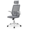 thumbnail image 1 of Magshion Chaise de Bureau Chaise de Tâche Fonction d'Inclinaison Appui-Tête Réglable avec Accoudoirs Rabattables Support Lombaire Chaise de Bureau, Pivotante à 360 Degrés (Gris), 1 of 4
