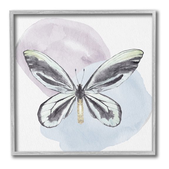 Stupell Industries Butterfly with Pastel Shapes Animals & Insects Painting Gray Framed Art Print Wall Art, 12 x 12