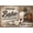 dgs8904, variant on Funny Raccoon Sign Room Decor Relax We Are All Crazy It Is Not A Competition Wall Art Animal Lovers Coworkers Office Bedroom Living Room Cabin 8x12Inch