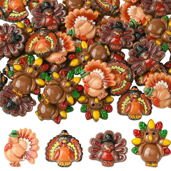 40pcs 4 styles Thanksgiving Resin Cabochons Turkey Mixed color 23.5~29x22~24.5x6.5~8.5mm 10pcs/style