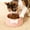 Pink21, variant on Iumwxz Raised Cat Food and Water Bowl, Large Capacity 250ml Plastic Elevated Pet Dish with Non Slip Base, Wide Shallow Design Prevents Whisker Fatigue for Comfortable Feeding