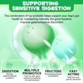 thumbnail image 5 of Petpya Probiotic for Dogs, Dog Digestion Gut Health Probiotic,Pet Naturals Daily,Immune & Digestive Support Chewable Dogs Probiotics, Duck Flavor, 120 Chews Natural Supplement Treat (2pack), 5 of 10
