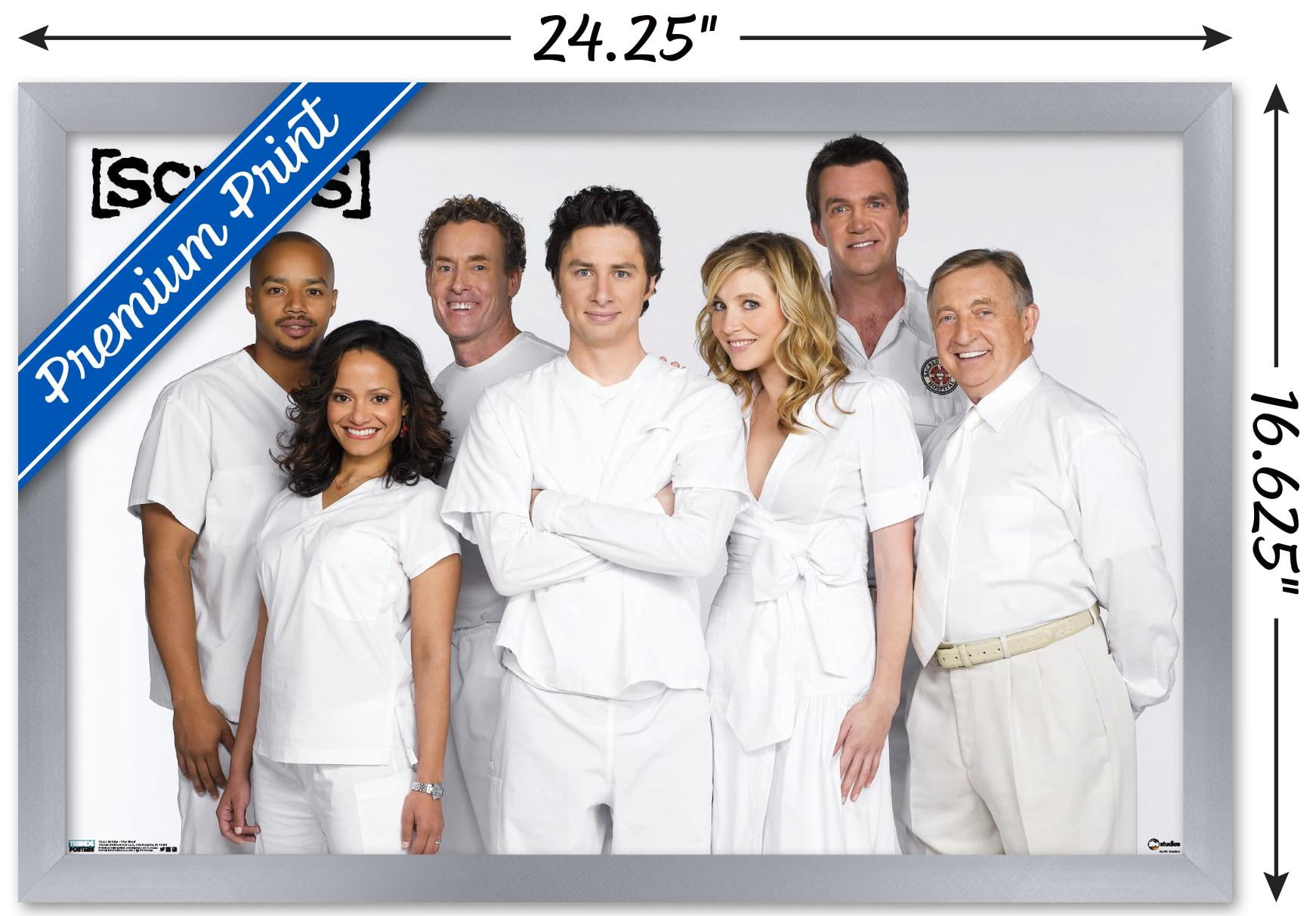 Scrubs - One Sheet Wall Poster, 14.725" x 22.375", Framed