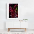 thumbnail image 2 of Red Amaranth flowers - Carmel Valley California Photography Botanical Floral Nature Garden Autumn Scenic Abstract White Framed Wall Art Print 12 x 18 inches, 2 of 3