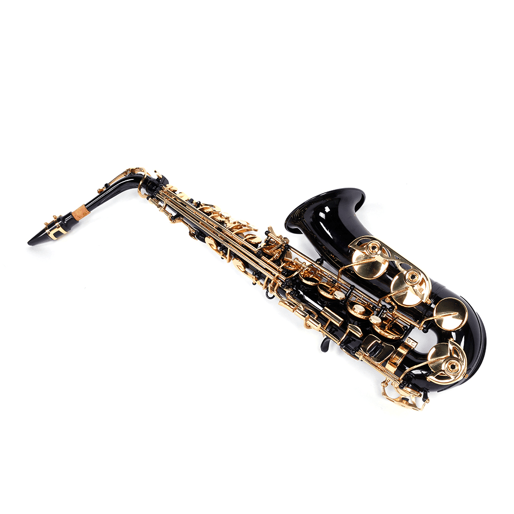 Tcbosik Eb Saxophone for Beginners with Box, Strap, Lubricants, Gloves and Cleaning Kit, Black