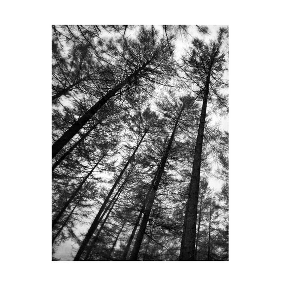 Canvas Wall Art - Tom Quartermaine 'Set of 2 Dark Tree Forest Wall Art Prints 1' Wall Art for Living Room, Bedroom, or Office Décor by Trademark Fine Art - 14 x 19 Inches