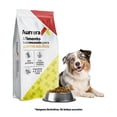 thumbnail image 1 of Alimento para Perro Aurrera Adulto a Granel por Kilo, 1 of 6