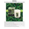 thumbnail image 2 of Soap and Paper Factory Roland Pine Candle, 9.5 oz, 2 of 3